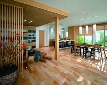 EXCELTONE MA Astral non-perforated ceiling